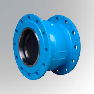 Silent-Check-Valve